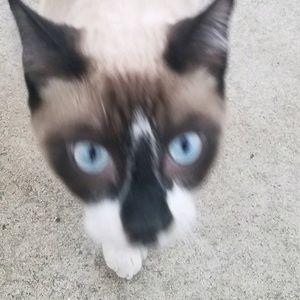 Meet your Posher, Luis